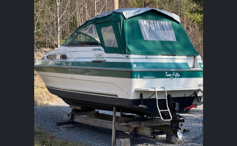 Sea Ray 250-kuva-6